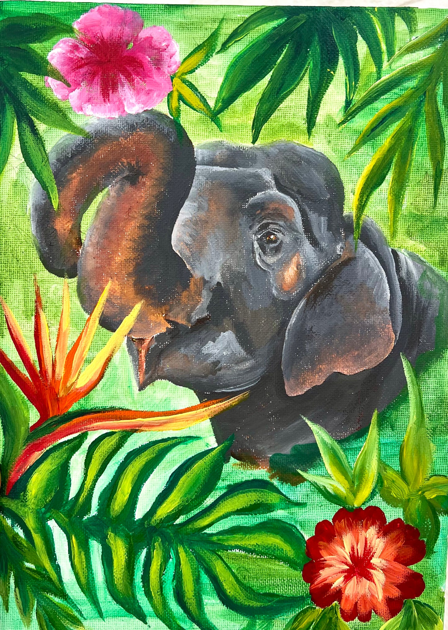 Through The Canopy