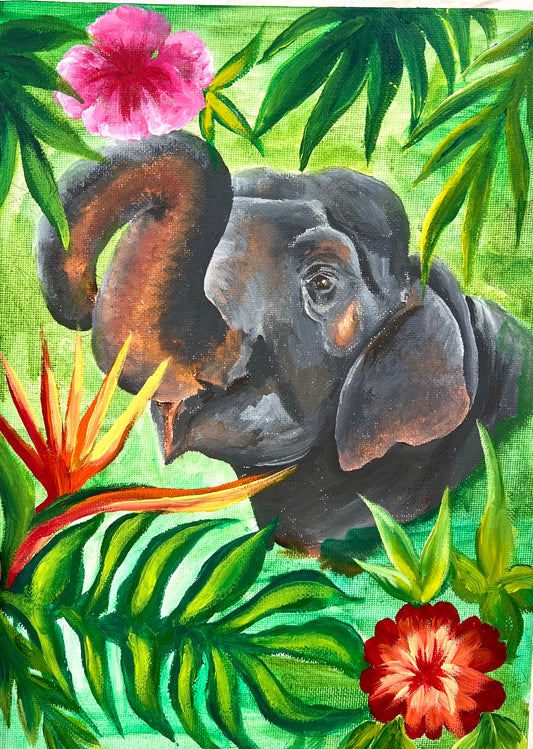 Through the Canopy